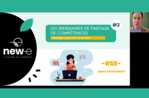 Vignette audit RSE en entrerpise