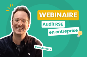 Vignette audit RSE en entrerpise